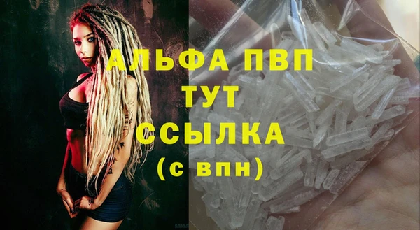 шишки Слюдянка