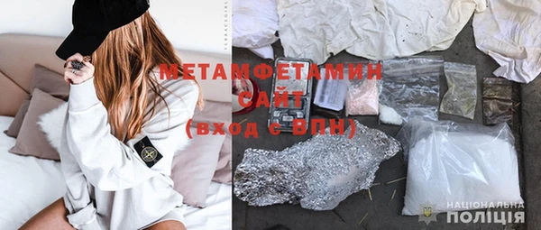 шишки Слюдянка