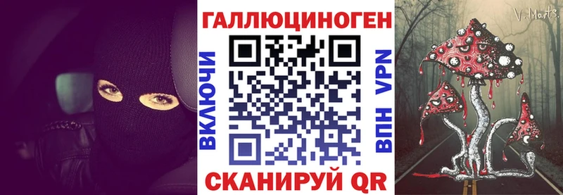 Псилоцибиновые грибы мицелий  Купить закладки  Шадринск 